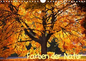Gräbner |  Farben der Natur (Wandkalender 2020 DIN A4 quer) | Sonstiges |  Sack Fachmedien