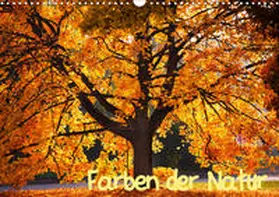Gräbner |  Farben der Natur (Wandkalender 2020 DIN A3 quer) | Sonstiges |  Sack Fachmedien