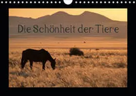 Olschner |  Die Schönheit der Tiere (Wandkalender 2020 DIN A4 quer) | Sonstiges |  Sack Fachmedien