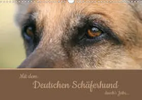 Steininger |  Mit dem Deutschen Schäferhund durch's Jahr (Wandkalender 2020 DIN A3 quer) | Sonstiges |  Sack Fachmedien