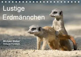 Weber | Lustige Erdmännchen (Tischkalender 2020 DIN A5 quer) | Sonstiges | 978-3-670-42529-8 | www.sack.de