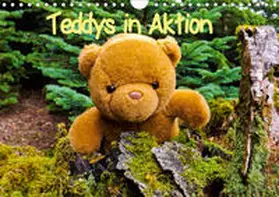 Sigwarth |  Teddys in AktionCH-Version  (Wandkalender 2020 DIN A4 quer) | Sonstiges |  Sack Fachmedien