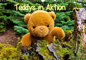Sigwarth |  Teddys in AktionCH-Version  (Wandkalender 2020 DIN A3 quer) | Sonstiges |  Sack Fachmedien