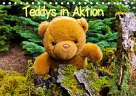 Sigwarth |  Teddys in AktionCH-Version  (Tischkalender 2020 DIN A5 quer) | Sonstiges |  Sack Fachmedien