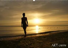 Weber |  AKT-zente (Wandkalender 2020 DIN A2 quer) | Sonstiges |  Sack Fachmedien