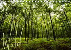 Gimpel | Wald (Tischkalender 2020 DIN A5 quer) | Sonstiges | 978-3-670-42881-7 | www.sack.de