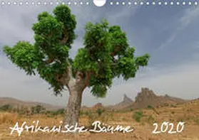Wolf | Afrikanische Bäume (Wandkalender 2020 DIN A4 quer) | Sonstiges | 978-3-670-42958-6 | www.sack.de