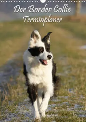 Lindert-Rottke |  Der Border Collie Terminplaner (Wandkalender 2020 DIN A3 hoch) | Sonstiges |  Sack Fachmedien