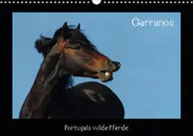 Lampert |  Garranos (Wandkalender 2020 DIN A3 quer) | Sonstiges |  Sack Fachmedien