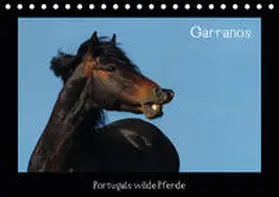 Lampert | Garranos (Tischkalender 2020 DIN A5 quer) | Sonstiges | 978-3-670-43442-9 | www.sack.de