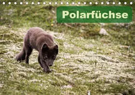 Gimpel | Polarfüchse (Tischkalender 2020 DIN A5 quer) | Sonstiges | 978-3-670-43831-1 | www.sack.de