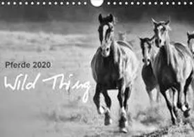 Peters |  Pferde 2020 Wild Thing (Wandkalender 2020 DIN A4 quer) | Sonstiges |  Sack Fachmedien