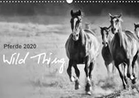 Peters |  Pferde 2020 Wild Thing (Wandkalender 2020 DIN A3 quer) | Sonstiges |  Sack Fachmedien