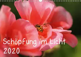 Hildebrand | Schöpfung im Licht (Wandkalender 2020 DIN A3 quer) | Sonstiges | 978-3-670-44504-3 | www.sack.de