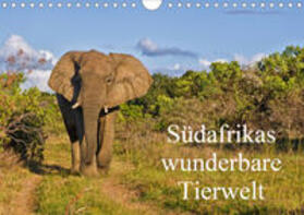 Peters | Südafrikas wunderbare Tierwelt (Wandkalender 2020 DIN A4 quer) | Sonstiges | 978-3-670-44733-7 | sack.de