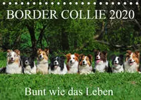 Starick |  Border Collie 2020 (Tischkalender 2020 DIN A5 quer) | Sonstiges |  Sack Fachmedien