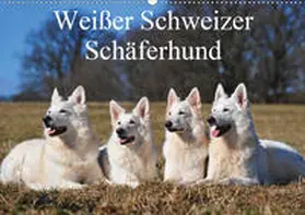 Starick |  Weißer Schweizer Schäferhund (Wandkalender 2020 DIN A2 quer) | Sonstiges |  Sack Fachmedien