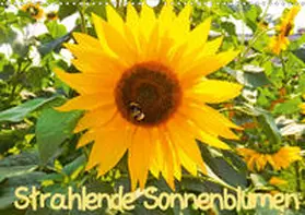 Sigwarth | Strahlende Sonnenblumen / CH - Version (Wandkalender 2020 DIN A3 quer) | Sonstiges | 978-3-670-44993-5 | www.sack.de