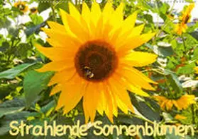 Sigwarth |  Strahlende Sonnenblumen / CH - Version (Wandkalender 2020 DIN A2 quer) | Sonstiges |  Sack Fachmedien