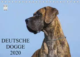 Starick |  Deutsche Dogge 2020 (Tischkalender 2020 DIN A5 quer) | Sonstiges |  Sack Fachmedien