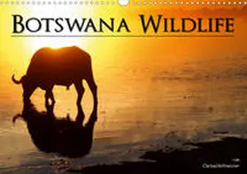 Hofmeister |  Botswana Wildlife (Wandkalender 2020 DIN A3 quer) | Sonstiges |  Sack Fachmedien