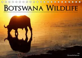 Hofmeister |  Botswana Wildlife (Tischkalender 2020 DIN A5 quer) | Sonstiges |  Sack Fachmedien