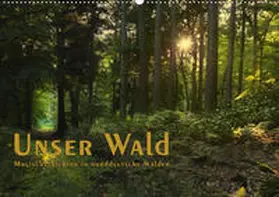Langenkamp |  Unser Wald - Magische Sichten in norddeutsche Wälder / Geburtstagskalender (Wandkalender 2020 DIN A2 quer) | Sonstiges |  Sack Fachmedien
