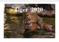 Hennig |  Tiger  2020 (Wandkalender 2020 DIN A4 quer) | Sonstiges |  Sack Fachmedien