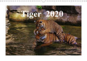 Hennig | Tiger  2020 (Wandkalender 2020 DIN A3 quer) | Sonstiges | 978-3-670-46493-8 | sack.de