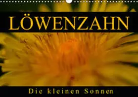 Kaden |  Löwenzahn - Die kleinen Sonnen (Wandkalender 2020 DIN A3 quer) | Sonstiges |  Sack Fachmedien