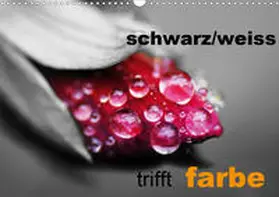 Kaden |  schwarz/weiß trifft farbe (Wandkalender 2020 DIN A3 quer) | Sonstiges |  Sack Fachmedien