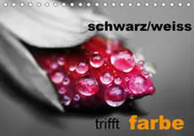 Kaden |  schwarz/weiß trifft farbe (Tischkalender 2020 DIN A5 quer) | Sonstiges |  Sack Fachmedien