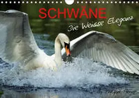 Henry | SCHWÄNE. (Wandkalender 2020 DIN A4 quer) | Sonstiges | 978-3-670-47471-5 | www.sack.de