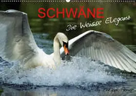 Henry |  SCHWÄNE. (Wandkalender 2020 DIN A2 quer) | Sonstiges |  Sack Fachmedien