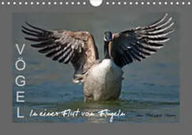 Henry |  VÖGEL (Wandkalender 2020 DIN A4 quer) | Sonstiges |  Sack Fachmedien