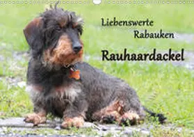 Mielewczyk |  Liebenswerte Rabauken Rauhaardackel / CH-Version (Wandkalender 2020 DIN A3 quer) | Sonstiges |  Sack Fachmedien