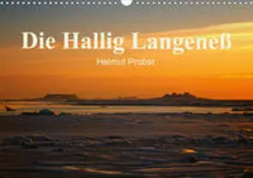 Probst |  Die Hallig Langeneß / CH-Version (Wandkalender 2020 DIN A3 quer) | Sonstiges |  Sack Fachmedien