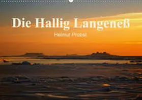 Probst |  Die Hallig Langeneß / CH-Version (Wandkalender 2020 DIN A2 quer) | Sonstiges |  Sack Fachmedien