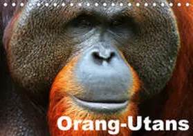 Stanzer | Orang-Utans (Tischkalender 2020 DIN A5 quer) | Sonstiges | 978-3-670-50118-3 | www.sack.de