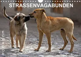 Henry | STRASSENVAGABUNDEN (Wandkalender 2020 DIN A4 quer) | Sonstiges | 978-3-670-50250-0 | www.sack.de