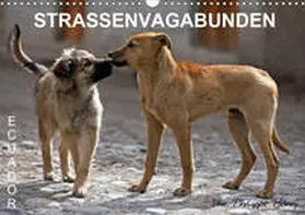 Henry |  STRASSENVAGABUNDEN (Wandkalender 2020 DIN A3 quer) | Sonstiges |  Sack Fachmedien
