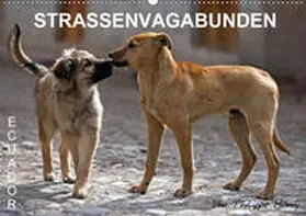 Henry | STRASSENVAGABUNDEN (Wandkalender 2020 DIN A2 quer) | Sonstiges | 978-3-670-50252-4 | www.sack.de