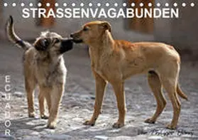 Henry |  STRASSENVAGABUNDEN (Tischkalender 2020 DIN A5 quer) | Sonstiges |  Sack Fachmedien