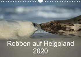 Leimer |  Robben auf Helgoland 2020CH-Version  (Wandkalender 2020 DIN A4 quer) | Sonstiges |  Sack Fachmedien