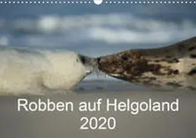Leimer |  Robben auf Helgoland 2020CH-Version  (Wandkalender 2020 DIN A3 quer) | Sonstiges |  Sack Fachmedien
