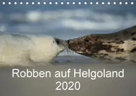 Leimer |  Robben auf Helgoland 2020CH-Version  (Tischkalender 2020 DIN A5 quer) | Sonstiges |  Sack Fachmedien