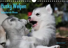 Ebardt |  Husky Welpen (Wandkalender 2020 DIN A4 quer) | Sonstiges |  Sack Fachmedien