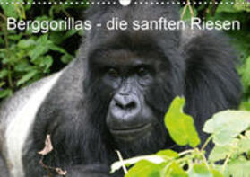 Herzog | Berggorillas - die sanften Riesen (Wandkalender 2020 DIN A3 quer) | Sonstiges | 978-3-670-50336-1 | sack.de