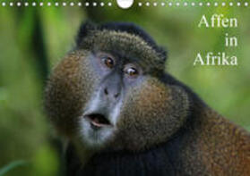 Herzog | Affen in Afrika (Wandkalender 2020 DIN A4 quer) | Sonstiges | 978-3-670-50361-3 | sack.de