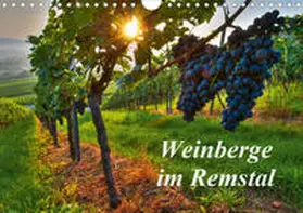 Schmidt | Weinberge im Remstal (Wandkalender 2020 DIN A4 quer) | Sonstiges | 978-3-670-50778-9 | www.sack.de